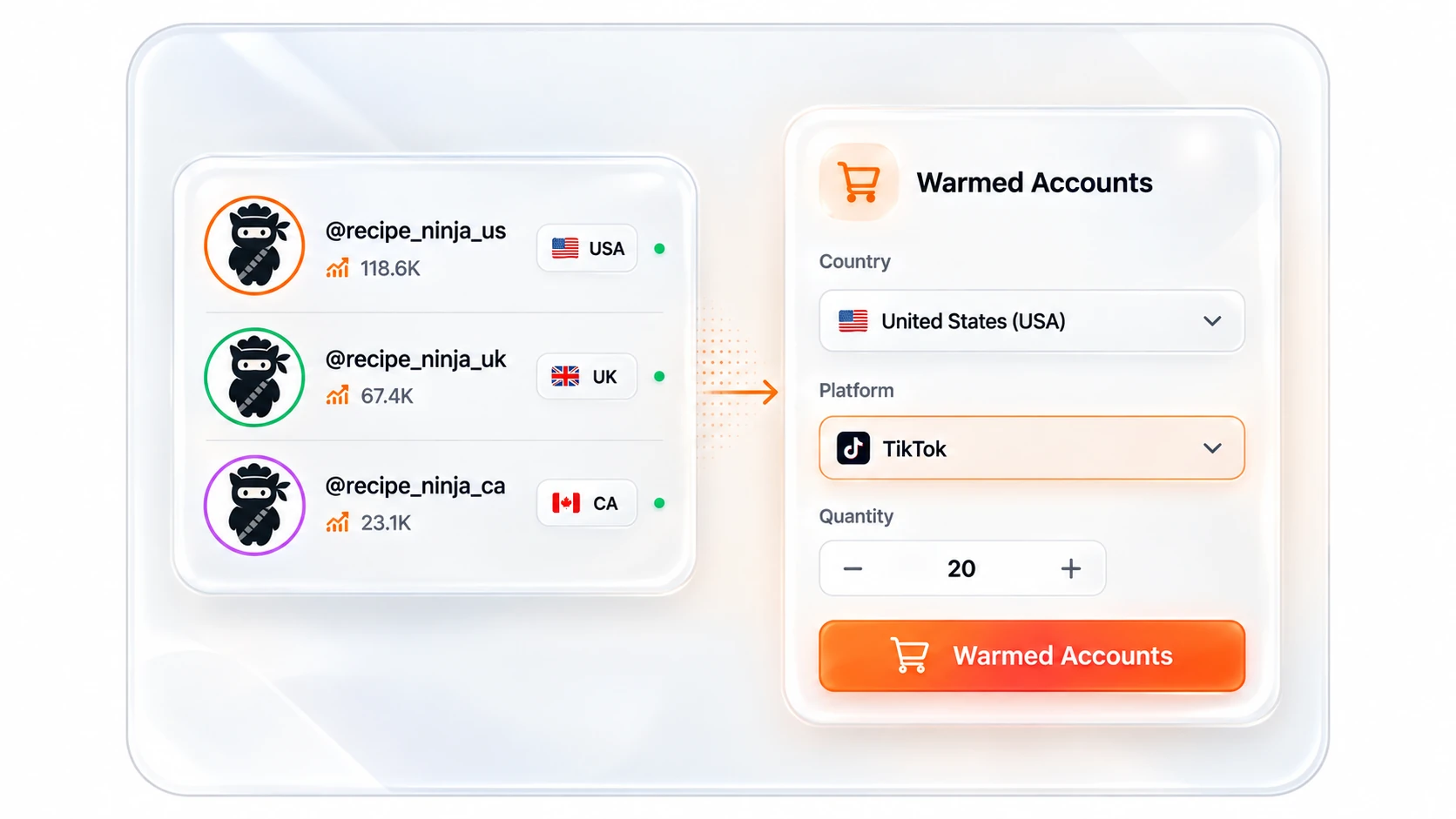 Veedeo concept panel showing managed-account country, platform and quantity